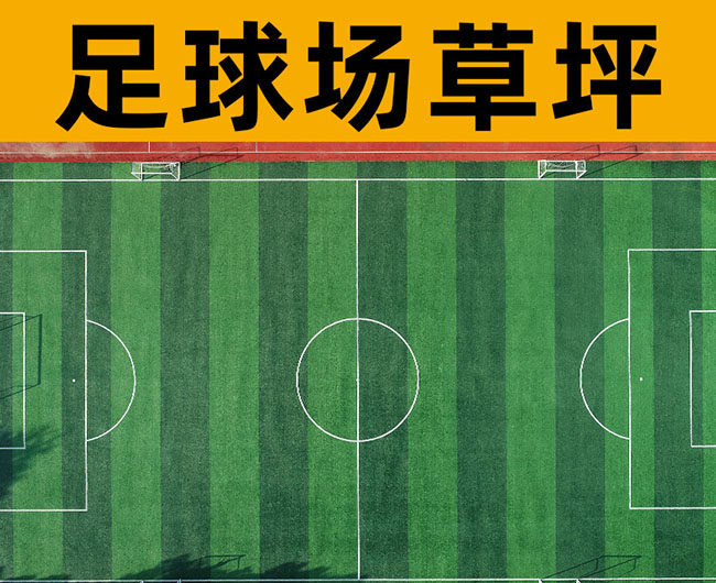 常見的沈陽(yáng)人造草坪有哪幾種？你知道嗎