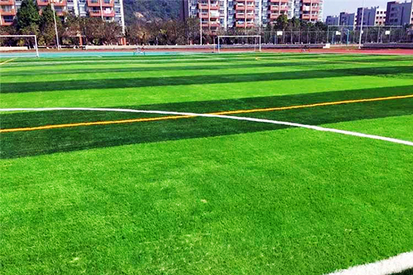 綠色未來，用心鋪就——沈陽人造草坪生產(chǎn)廠家參與全國低碳日